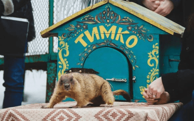groundhog Tymko