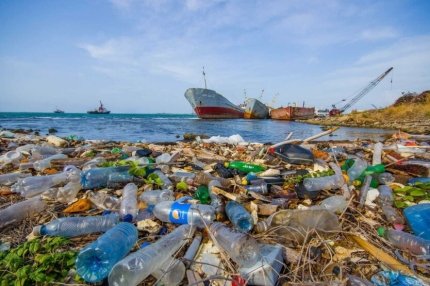 Ученые хотят использовать бактерии для очистки воды от пластика Бактерии в сточных водах питаются пластиком.